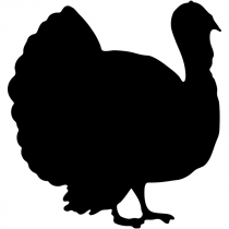 Turkey Silhouette Craft Stamp