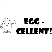 Feedback - EGG-CELLENT Rubber Teacher Stamp
