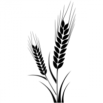 Corn Stalk Craft Stamp