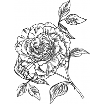 Blooming Peony Stamp