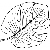 Monstera Leaf Stamp