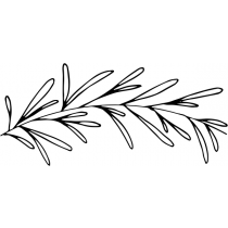 Seamless Eucalyptus Stamp